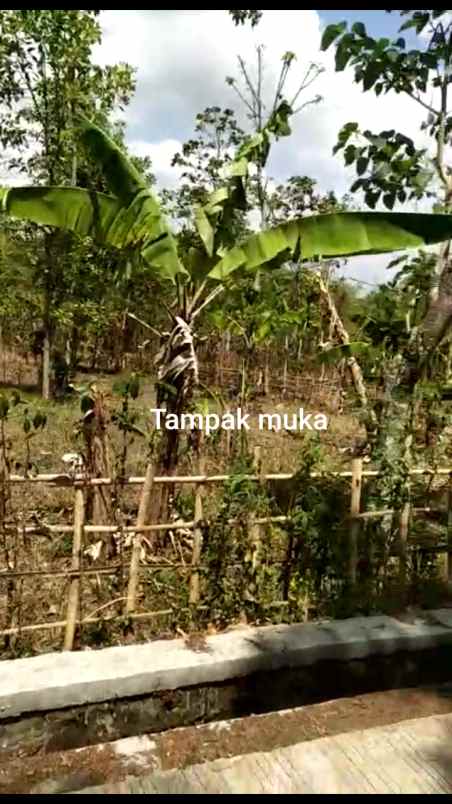 dijual tanah jalan cilame narawita