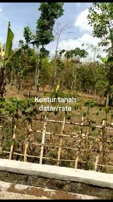 dijual tanah jalan cilame narawita