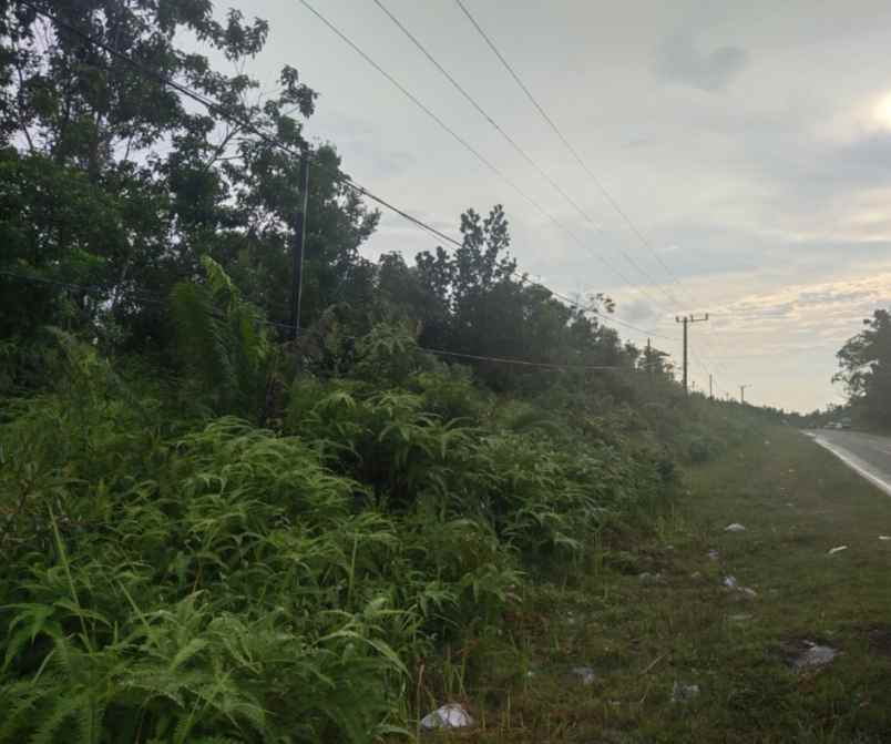 dijual tanah jalan hampalit katingan