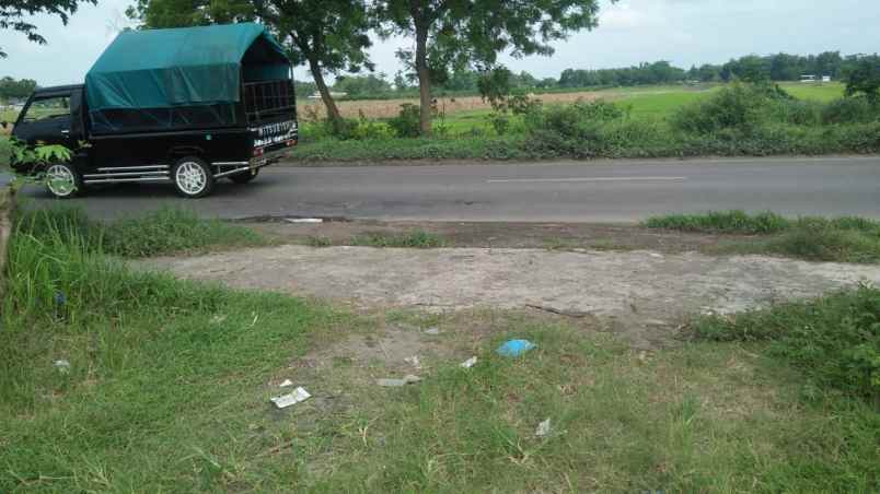 dijual tanah jalan raya gambang gudo