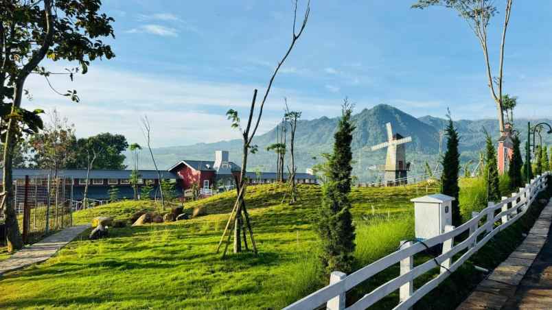 dijual tanah jalan raya puncak dua