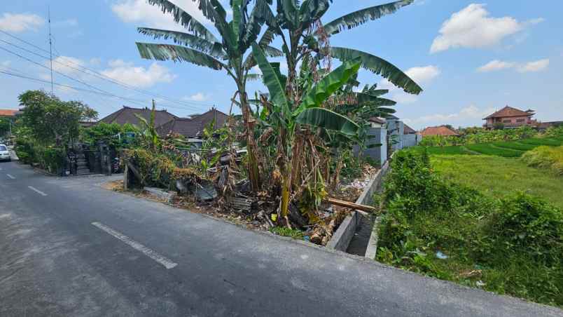 dijual tanah jalan tratasan pura dalem