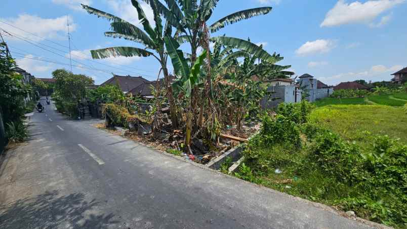 dijual tanah jalan tratasan pura dalem