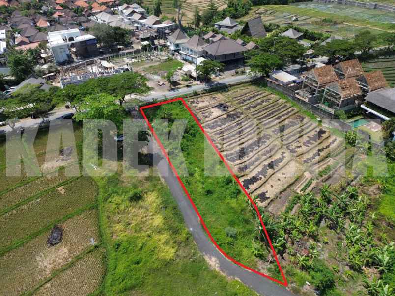 dijual tanah jalan utama pantai seseh munggu