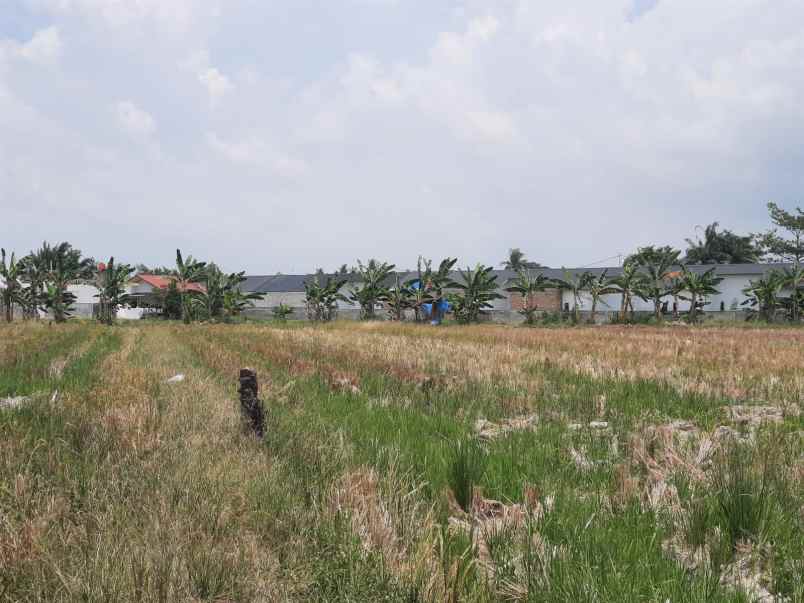 dijual tanah jl anugrah batang kuis