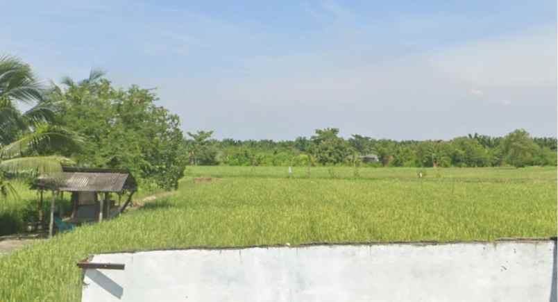 dijual tanah jl anugrah batang kuis
