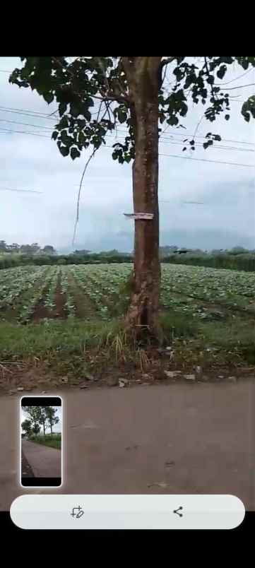 dijual tanah jl gordah raharja