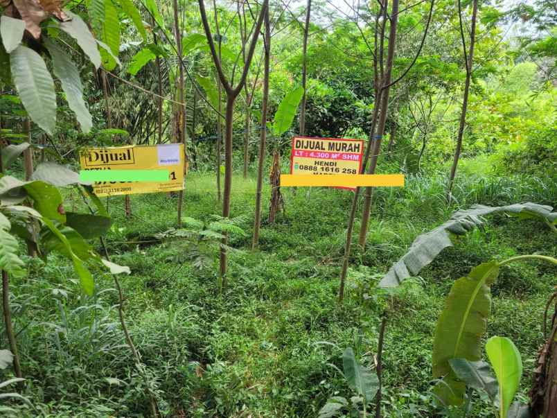 dijual tanah jl merbabu karang tengah