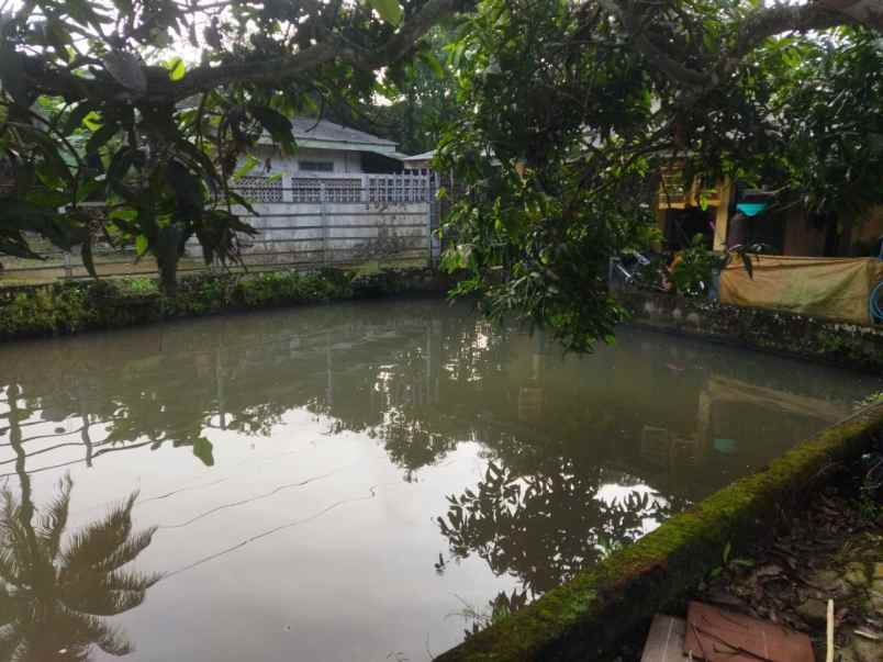 dijual tanah jl pesawahan kecamatan cicurug