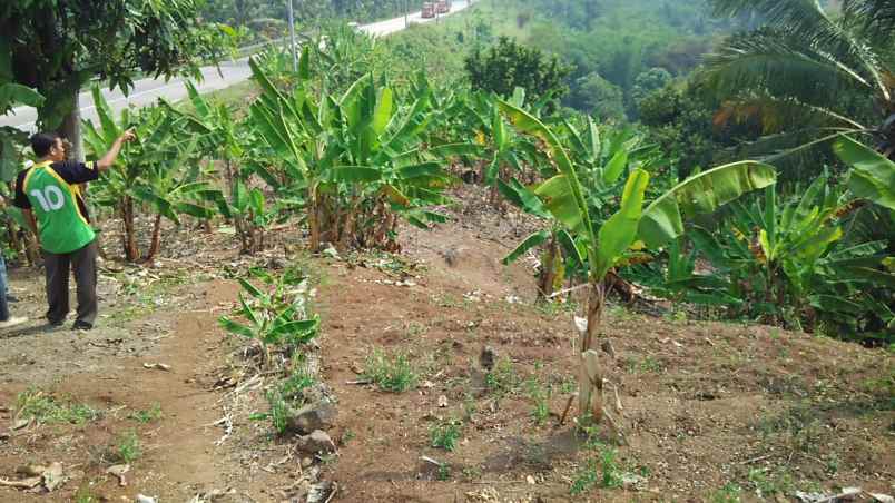 dijual tanah jl trans sumatera