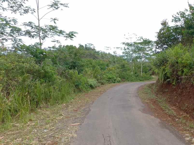 dijual tanah kebun murah dan strategis