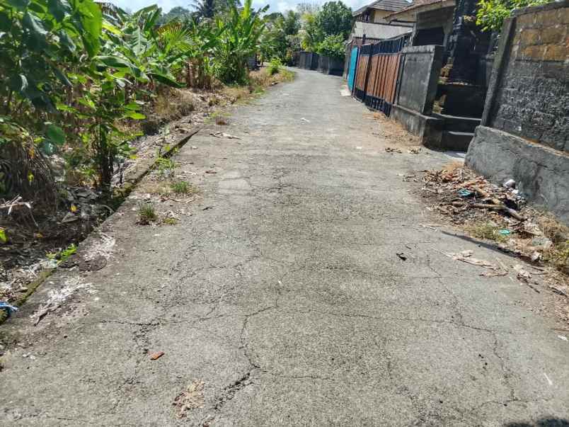dijual tanah kelating tabanan bali