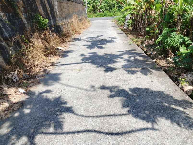 dijual tanah kelating tabanan bali