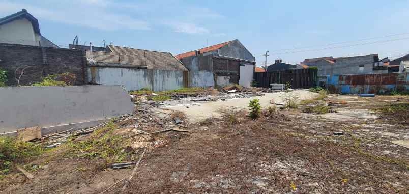 dijual tanah kelinci raya