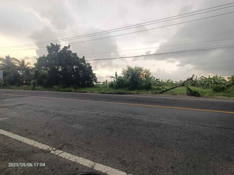 dijual tanah kerambitan tabanan bali