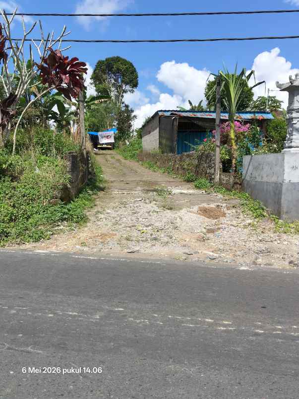 dijual tanah kintamani bangli bali