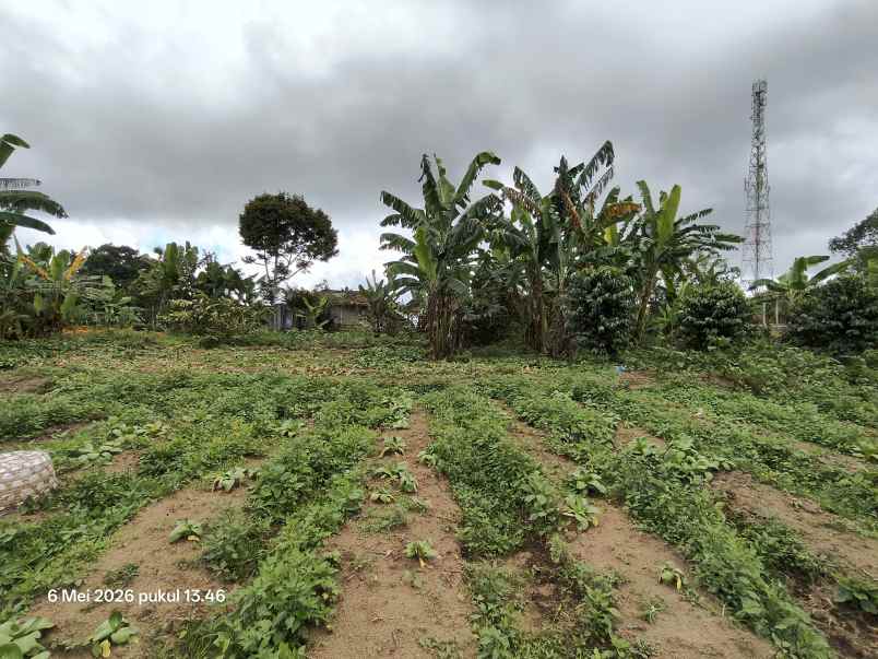dijual tanah kintamani bangli bali
