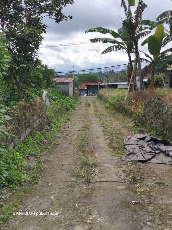 dijual tanah kintamani bangli bali