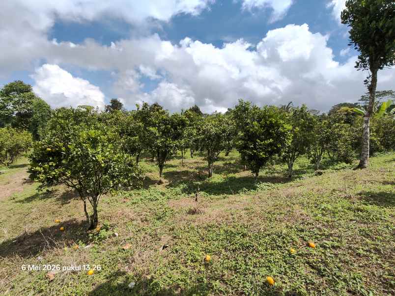 dijual tanah kintamani bangli bali