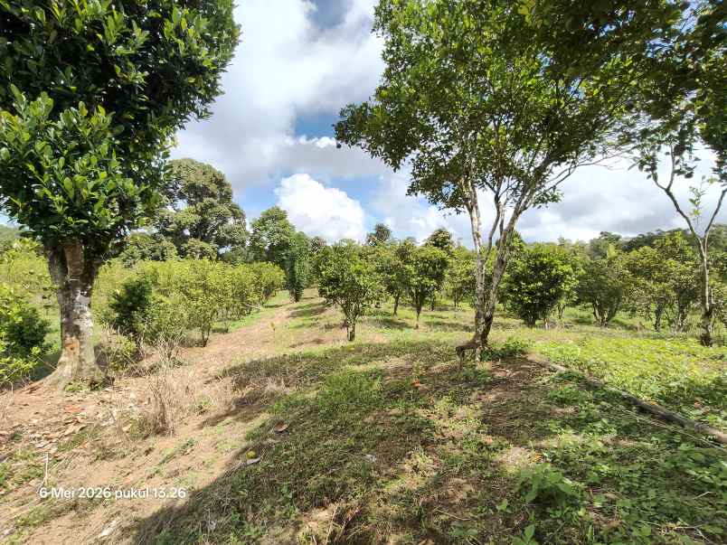 dijual tanah kintamani bangli bali