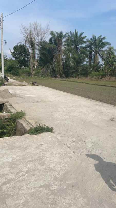 dijual tanah kosong jl studio sunggal