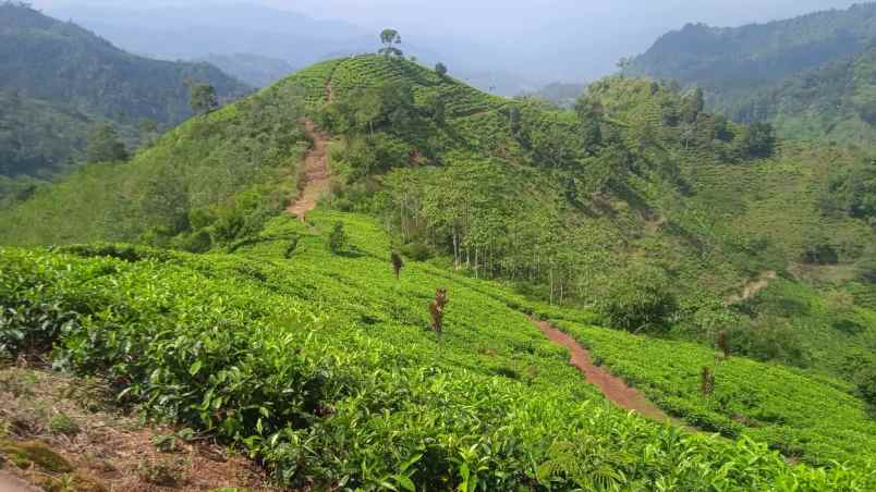 dijual tanah kp puncak mulya desa