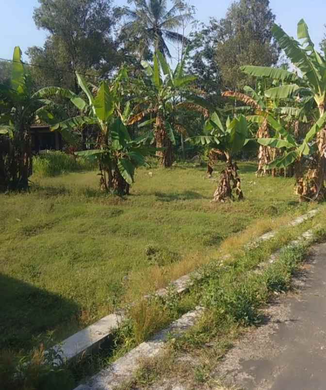 dijual tanah linggarjati