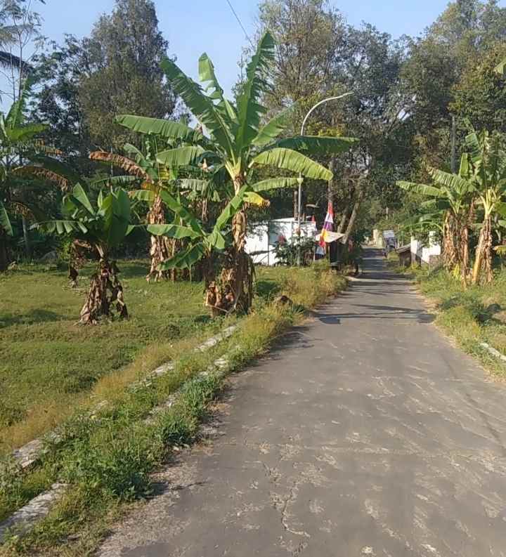 dijual tanah linggarjati