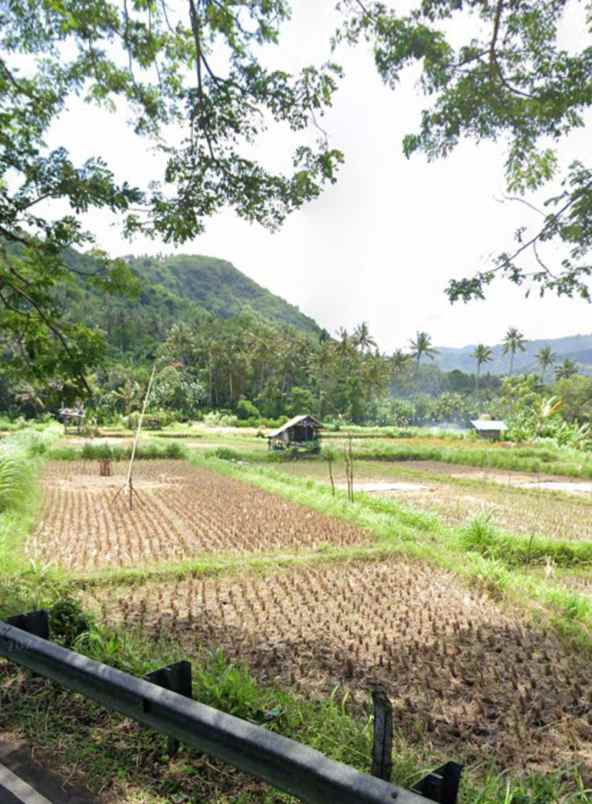 dijual tanah manggis karangasem bali