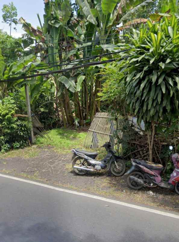 dijual tanah manggis karangasem bali