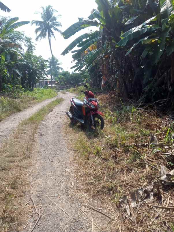 dijual tanah murah 2ha di gunung sindur