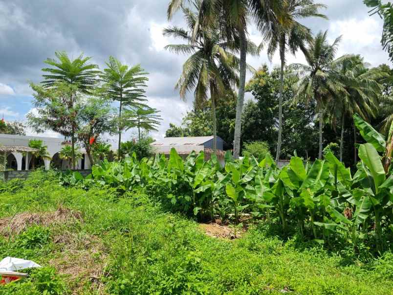 dijual tanah murah hanya 2 menit dari akmil magelang