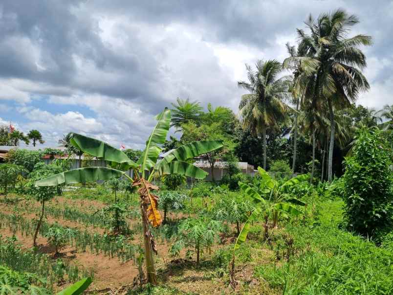 dijual tanah murah hanya 2 menit dari akmil magelang