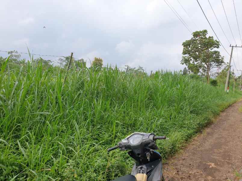 dijual tanah nol jalan sukolilo bunut wetan