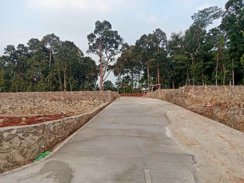 dijual tanah patemon