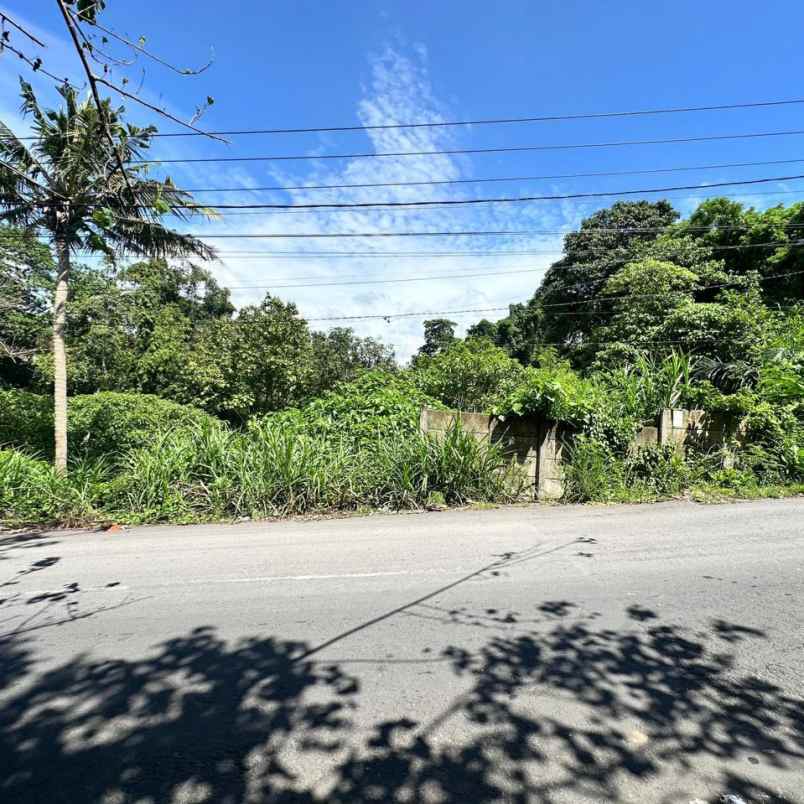 dijual tanah peguyangan kangin