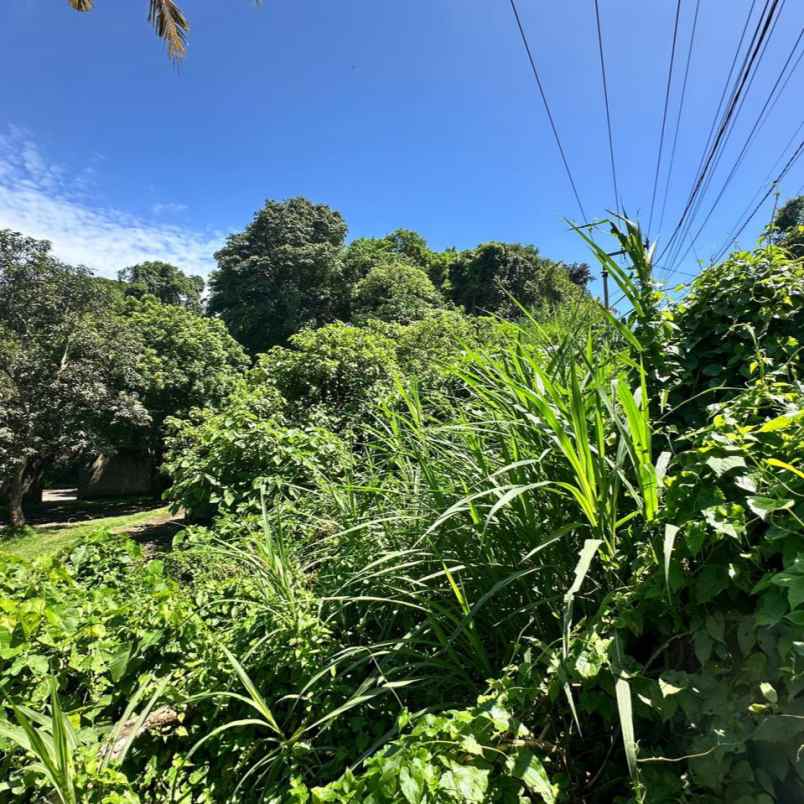 dijual tanah peguyangan kangin