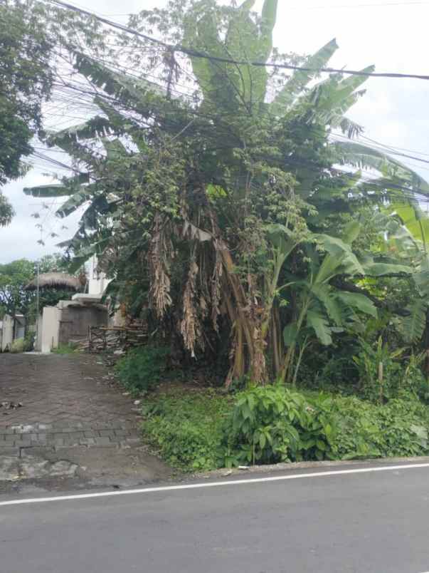 dijual tanah pererenan