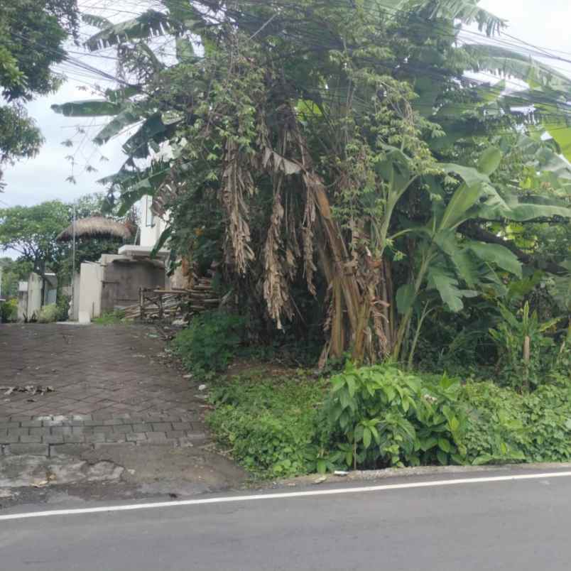dijual tanah pererenan