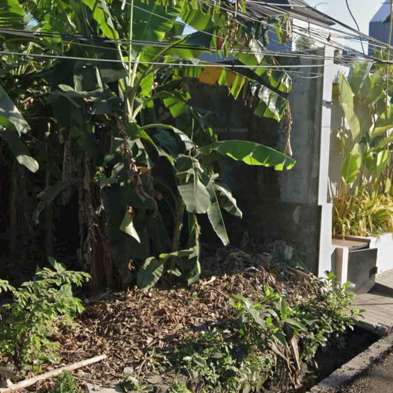 dijual tanah pererenan