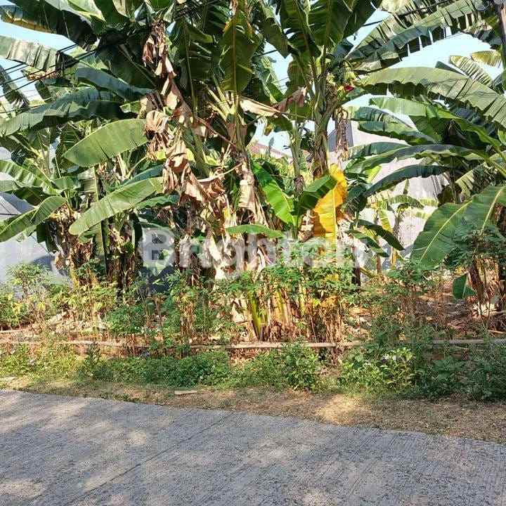 dijual tanah perum pupuk kujang kukusan