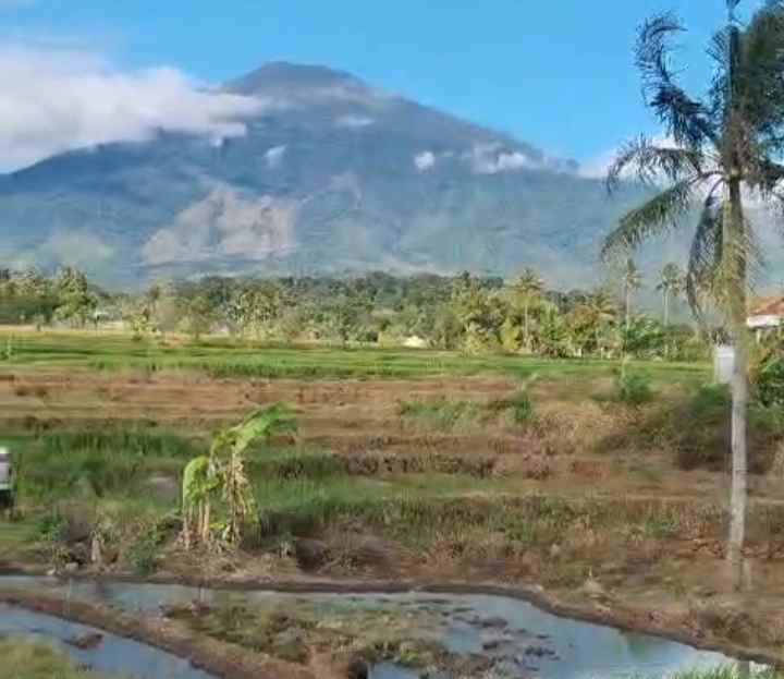 dijual tanah rando bawa kec mandirancan