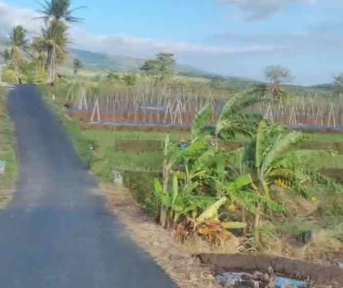 dijual tanah rando bawa kec mandirancan