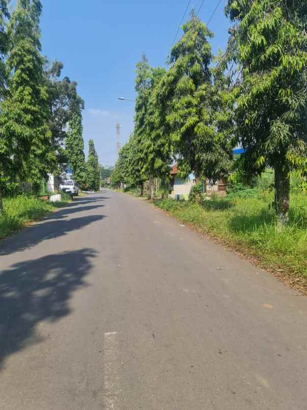 dijual tanah raya randuagung