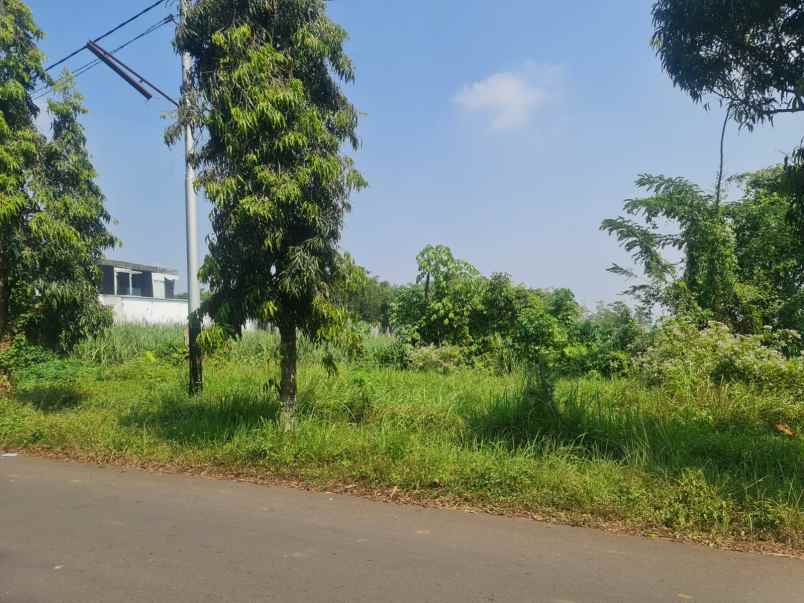 dijual tanah raya randuagung