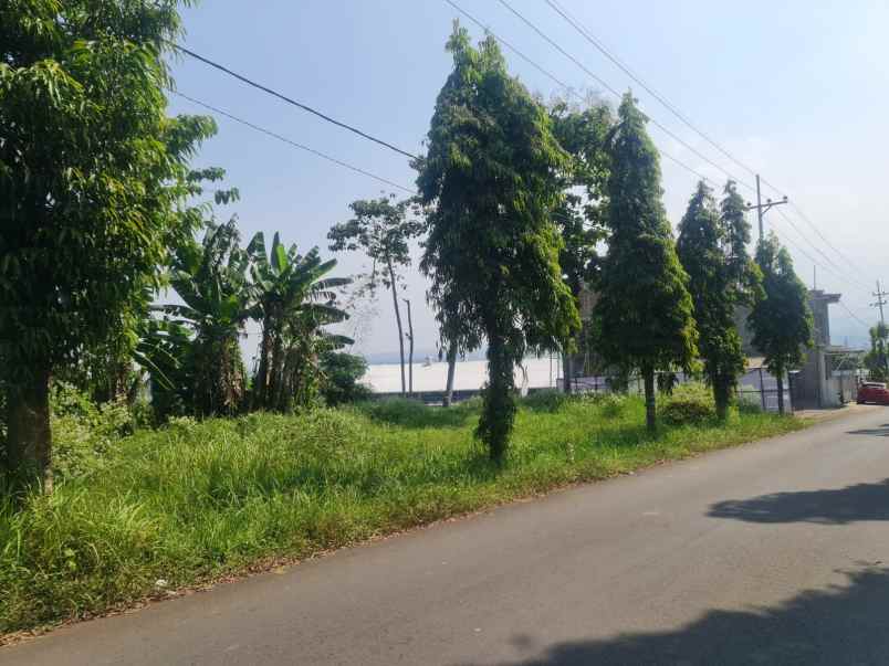 dijual tanah raya randuagung