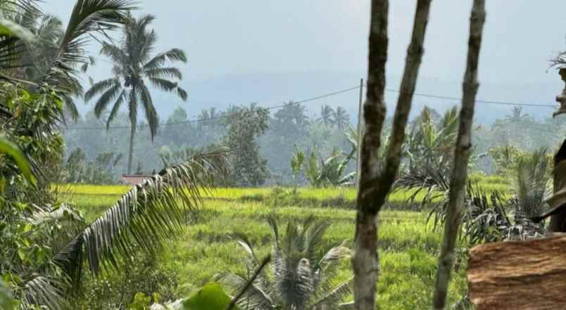 dijual tanah sanda pupuan tabanan