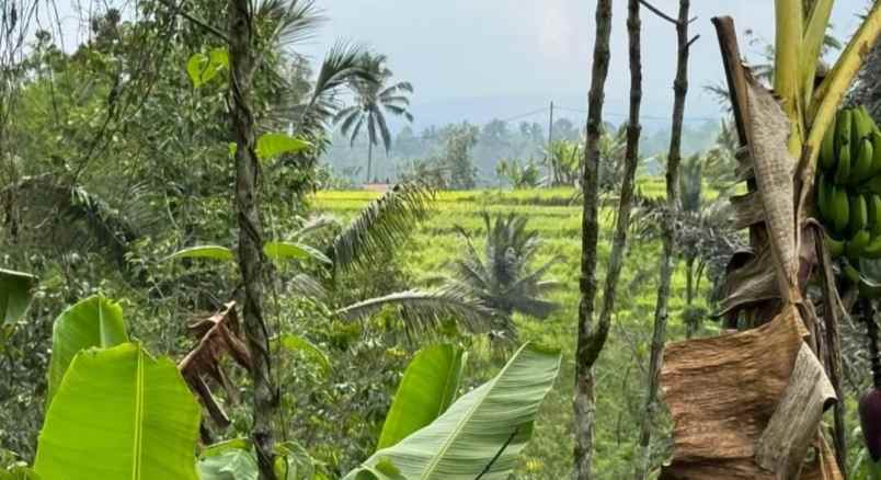 dijual tanah sanda pupuan tabanan