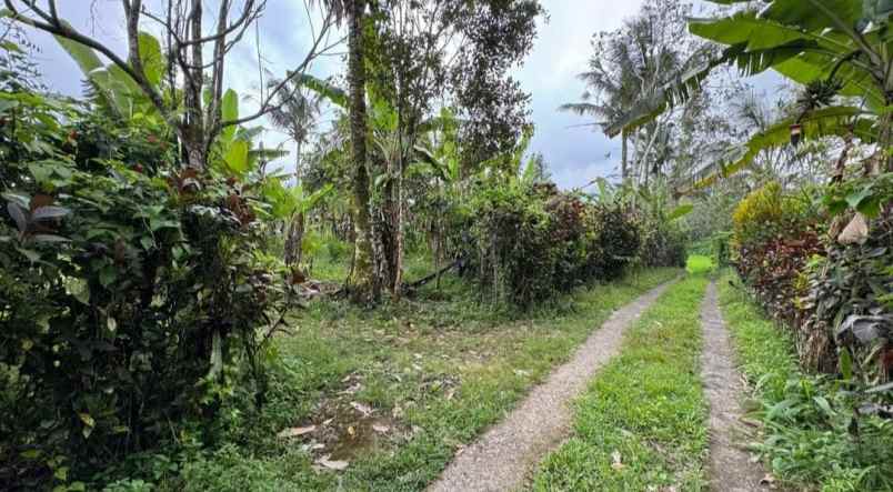 dijual tanah sanda pupuan tabanan