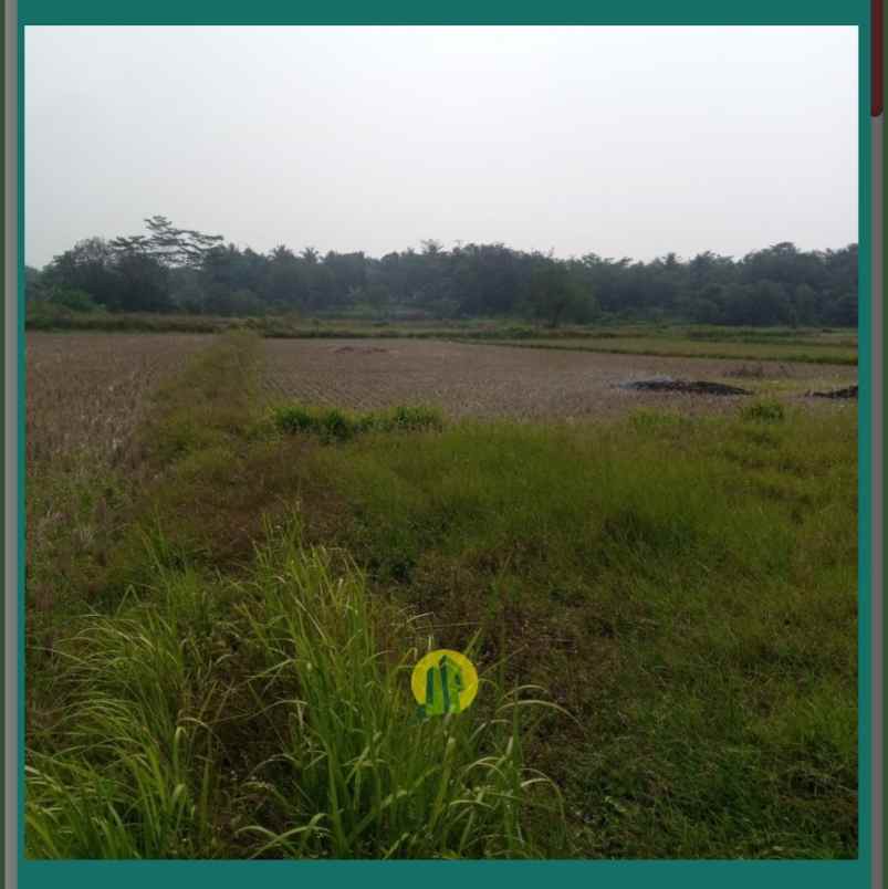 dijual tanah sawah dengan legalitas ajb di walantaka